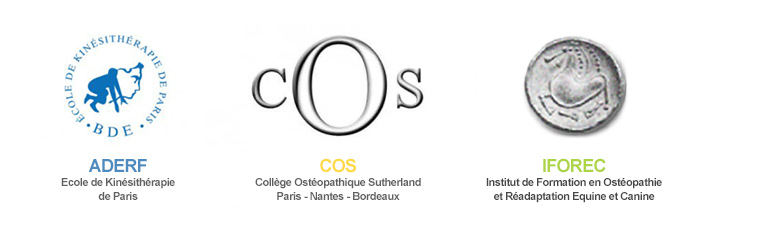 Ecoles d'ostéopathie et de kinésithérapie : ARDEF, COS, IFOREC